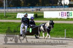 Dateiname=20241027_mt_099_MT1_0123.jpg
Dateigröße=361KB
Abmessungen: 1000x667
hinzugefügt am: 29. Oktober 2024 20241027_mt_099_MT1_0123.jpg