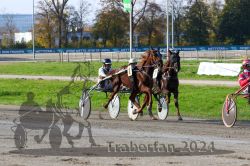 Dateiname=20241027_r01_071_R01_0134.jpg
Dateigröße=390KB
Abmessungen: 1000x667
hinzugefügt am: 29. Oktober 2024 20241027_r01_071_R01_0134.jpg