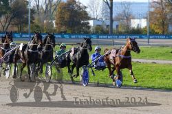Dateiname=20241027_r03_090_R03_0176.jpg
Dateigröße=373KB
Abmessungen: 1000x667
hinzugefügt am: 29. Oktober 2024 20241027_r03_090_R03_0176.jpg