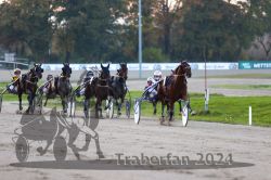 Dateiname=20241027_r07_109_R07_0195.jpg
Dateigröße=285KB
Abmessungen: 1000x667
hinzugefügt am: 30. Oktober 2024 20241027_r07_109_R07_0195.jpg