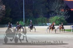 Dateiname=20241027_r09_059_R09_0117.jpg
Dateigröße=261KB
Abmessungen: 1000x667
hinzugefügt am: 30. Oktober 2024 20241027_r09_059_R09_0117.jpg