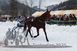 Dateiname=20250105_r04_181_R04_0358.jpg
Dateigröße=293KB
Abmessungen: 1000x667
hinzugefügt am: 06. Januar 2025 20250105_r04_181_R04_0358.jpg