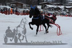 Dateiname=20250105_r07_128_R06_0236.jpg
Dateigröße=264KB
Abmessungen: 1000x667
hinzugefügt am: 06. Januar 2025 20250105_r07_128_R06_0236.jpg