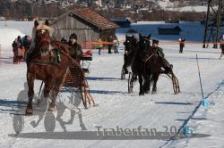 Dateiname=20250119_r02_037_R02_0074.jpg
Dateigröße=353KB
Abmessungen: 1000x667
hinzugefügt am: 20. Januar 2025 20250119_r02_037_R02_0074.jpg