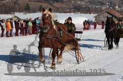 Dateiname=20250119_r02_039_R02_0079.jpg
Dateigröße=342KB
Abmessungen: 1000x667
hinzugefügt am: 20. Januar 2025 20250119_r02_039_R02_0079.jpg