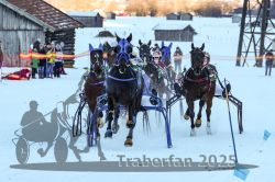 Dateiname=20250119_r04_085_R04_0166.jpg
Dateigröße=305KB
Abmessungen: 1000x667
hinzugefügt am: 20. Januar 2025 20250119_r04_085_R04_0166.jpg