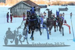 Dateiname=20250119_r04_106_R04_0211.jpg
Dateigröße=294KB
Abmessungen: 1000x667
hinzugefügt am: 20. Januar 2025 20250119_r04_106_R04_0211.jpg