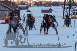 Dateiname=20250119_r05_040_R05_0083.jpg
Dateigröße=288KB
Abmessungen: 1000x667
hinzugefügt am: 21. Januar 2025 20250119_r05_040_R05_0083.jpg