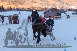 Dateiname=20250119_r05_059_R05_0123.jpg
Dateigröße=280KB
Abmessungen: 1000x667
hinzugefügt am: 21. Januar 2025 20250119_r05_059_R05_0123.jpg
