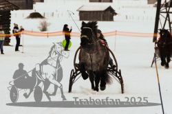 Dateiname=20250119_r05_066_R05_0133.jpg
Dateigröße=216KB
Abmessungen: 1000x667
hinzugefügt am: 21. Januar 2025 20250119_r05_066_R05_0133.jpg
