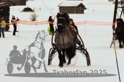 Dateiname=20250119_r05_068_R05_0137.jpg
Dateigröße=215KB
Abmessungen: 1000x667
hinzugefügt am: 21. Januar 2025 20250119_r05_068_R05_0137.jpg