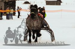 Dateiname=20250119_r05_072_R05_0145.jpg
Dateigröße=210KB
Abmessungen: 1000x667
hinzugefügt am: 21. Januar 2025 20250119_r05_072_R05_0145.jpg
