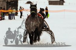 Dateiname=20250119_r05_074_R05_0148.jpg
Dateigröße=196KB
Abmessungen: 1000x667
hinzugefügt am: 21. Januar 2025 20250119_r05_074_R05_0148.jpg