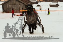Dateiname=20250119_r05_075_R05_0149.jpg
Dateigröße=221KB
Abmessungen: 1000x667
hinzugefügt am: 21. Januar 2025 20250119_r05_075_R05_0149.jpg