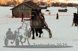 Dateiname=20250119_r05_077_R05_0154.jpg
Dateigröße=214KB
Abmessungen: 1000x667
hinzugefügt am: 21. Januar 2025 20250119_r05_077_R05_0154.jpg