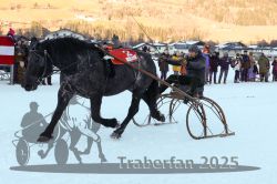 Dateiname=20250119_r05_115_R05_0221.jpg
Dateigröße=298KB
Abmessungen: 1000x667
hinzugefügt am: 21. Januar 2025 20250119_r05_115_R05_0221.jpg