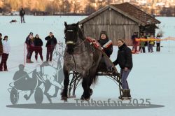 Dateiname=20250119_r05_137_R05_0265.jpg
Dateigröße=257KB
Abmessungen: 1000x667
hinzugefügt am: 21. Januar 2025 20250119_r05_137_R05_0265.jpg