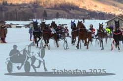 Dateiname=20250119_r06_076_R06_0186.jpg
Dateigröße=277KB
Abmessungen: 1000x667
hinzugefügt am: 21. Januar 2025 20250119_r06_076_R06_0186.jpg