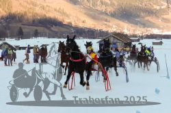 Dateiname=20250119_r06_107_R06_0277.jpg
Dateigröße=305KB
Abmessungen: 1000x667
hinzugefügt am: 21. Januar 2025 20250119_r06_107_R06_0277.jpg