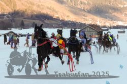 Dateiname=20250119_r06_109_R06_0281.jpg
Dateigröße=297KB
Abmessungen: 1000x667
hinzugefügt am: 21. Januar 2025 20250119_r06_109_R06_0281.jpg