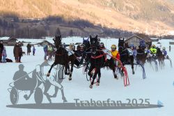 Dateiname=20250119_r06_146_R06_0380.jpg
Dateigröße=296KB
Abmessungen: 1000x667
hinzugefügt am: 21. Januar 2025 20250119_r06_146_R06_0380.jpg