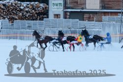 Dateiname=20250119_r06_168_R06_0430.jpg
Dateigröße=272KB
Abmessungen: 1000x667
hinzugefügt am: 21. Januar 2025 20250119_r06_168_R06_0430.jpg