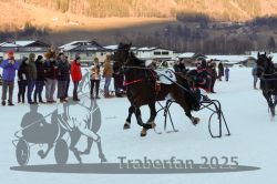 Dateiname=20250119_r06_187_R06_0482.jpg
Dateigröße=274KB
Abmessungen: 1000x667
hinzugefügt am: 21. Januar 2025 20250119_r06_187_R06_0482.jpg