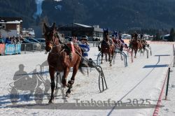 Dateiname=20250208_r03_057_RO3_0092.jpg
Dateigröße=345KB
Abmessungen: 1000x667
hinzugefügt am: 10. Februar 2025 20250208_r03_057_RO3_0092.jpg