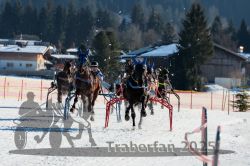 Dateiname=20250208_r04_111_RO4_0146.jpg
Dateigröße=316KB
Abmessungen: 1000x667
hinzugefügt am: 10. Februar 2025 20250208_r04_111_RO4_0146.jpg