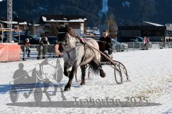 Dateiname=20250208_r05_024_RO5_0040.jpg
Dateigröße=346KB
Abmessungen: 1000x667
hinzugefügt am: 10. Februar 2025 20250208_r05_024_RO5_0040.jpg