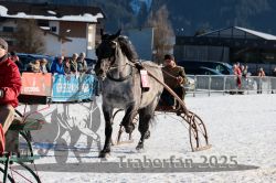 Dateiname=20250208_r05_048_RO5_0064.jpg
Dateigröße=314KB
Abmessungen: 1000x667
hinzugefügt am: 10. Februar 2025 20250208_r05_048_RO5_0064.jpg