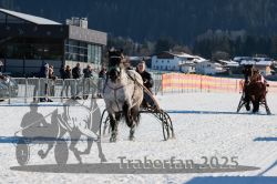 Dateiname=20250208_r05_073_RO5_0089.jpg
Dateigröße=330KB
Abmessungen: 1000x667
hinzugefügt am: 10. Februar 2025 20250208_r05_073_RO5_0089.jpg
