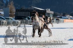 Dateiname=20250208_r05_077_RO5_0093.jpg
Dateigröße=320KB
Abmessungen: 1000x667
hinzugefügt am: 10. Februar 2025 20250208_r05_077_RO5_0093.jpg