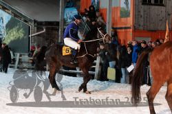 Dateiname=20250214_r05_022_R04_0175.jpg
Dateigröße=313KB
Abmessungen: 1000x667
hinzugefügt am: 19. Februar 2025 20250214_r05_022_R04_0175.jpg