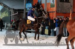 Dateiname=20250214_r05_023_R04_0176.jpg
Dateigröße=309KB
Abmessungen: 1000x667
hinzugefügt am: 19. Februar 2025 20250214_r05_023_R04_0176.jpg