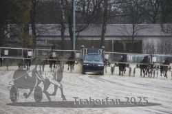 Dateiname=20250313_r03_058_R03_0111.jpg
Dateigröße=310KB
Abmessungen: 1000x667
hinzugefügt am: 14. März 2025 20250313_r03_058_R03_0111.jpg