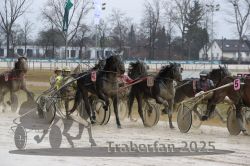 Dateiname=20250313_r03_098_R03_0189.jpg
Dateigröße=318KB
Abmessungen: 1000x667
hinzugefügt am: 14. März 2025 20250313_r03_098_R03_0189.jpg