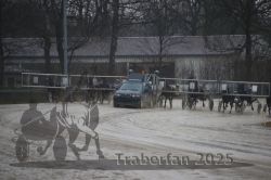 Dateiname=20250313_r04_060_R04_0137.jpg
Dateigröße=257KB
Abmessungen: 1000x667
hinzugefügt am: 14. März 2025 20250313_r04_060_R04_0137.jpg