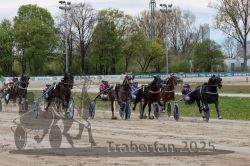 Dateiname=20250420_r05_121_R05_0466.jpg
Dateigröße=412KB
Abmessungen: 1000x667
hinzugefügt am: 21. April 2025 20250420_r05_121_R05_0466.jpg