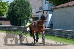 Dateiname=20250502_r01_010_R01_0126.jpg
Dateigröße=371KB
Abmessungen: 1000x667
hinzugefügt am: 02. Mai 2025 20250502_r01_010_R01_0126.jpg
