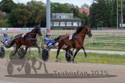 Dateiname=20250723_qu2_010_QU2_0015.jpg
Dateigröße=341KB
Abmessungen: 1000x667
hinzugefügt am: 23. Juli 2025 20250723_qu2_010_QU2_0015.jpg