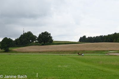 20250727_imp_036_DSC_5359.jpg