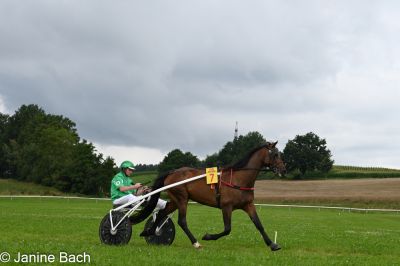 20250727_imp_038_DSC_5361.jpg