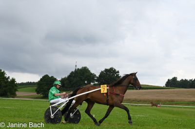 20250727_imp_039_DSC_5362.jpg