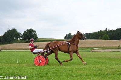 20250727_imp_057_DSC_5385.jpg