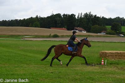 20250727_imp_073_DSC_5406.jpg
