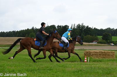 20250727_imp_082_DSC_5420.jpg