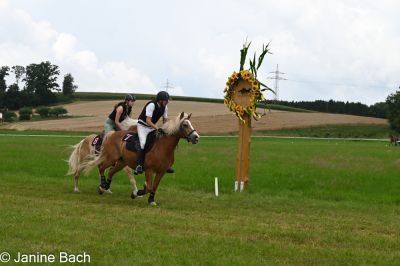 20250727_imp_090_DSC_5428.jpg