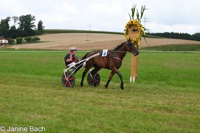20250727_imp_110_DSC_5455.jpg