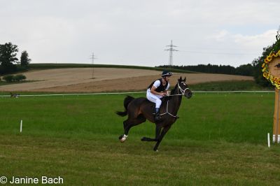 20250727_imp_179_DSC_5531.jpg